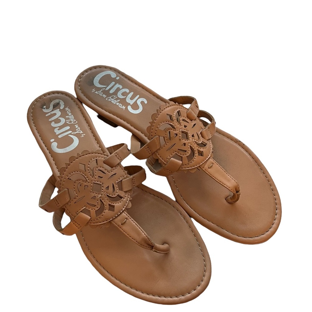 Circus by Sam Edelman Brown Canyon Sandals Flip Flops 10